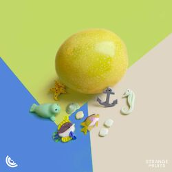Cover of Shots