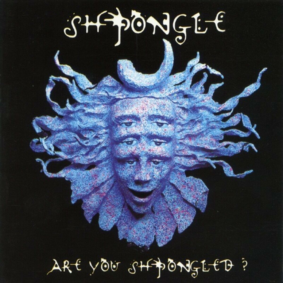 Album cover of Are You Shpongled?