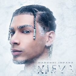 Cover of Nieva