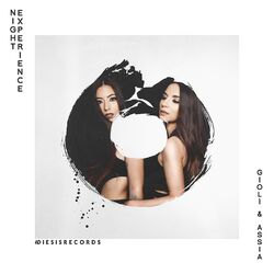 Cover of Night Experience
