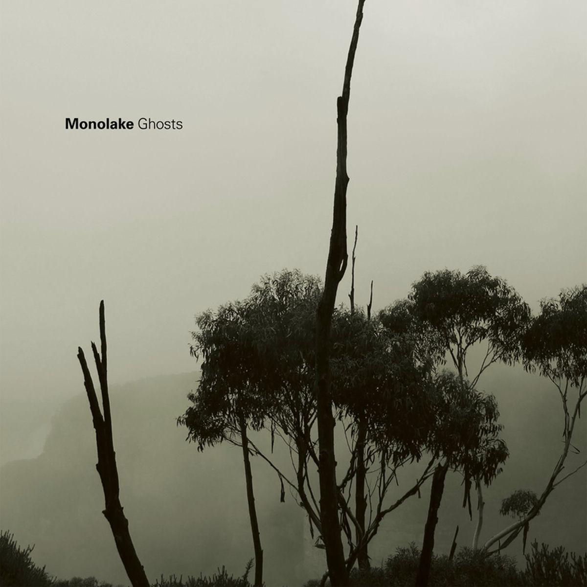 Album cover of Ghosts