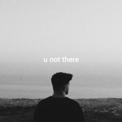 Cover of U Not There