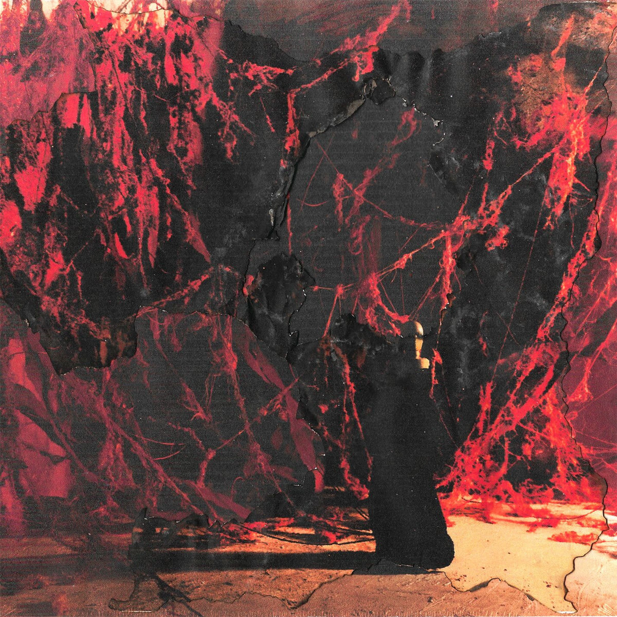 Album cover of FeL In LuV