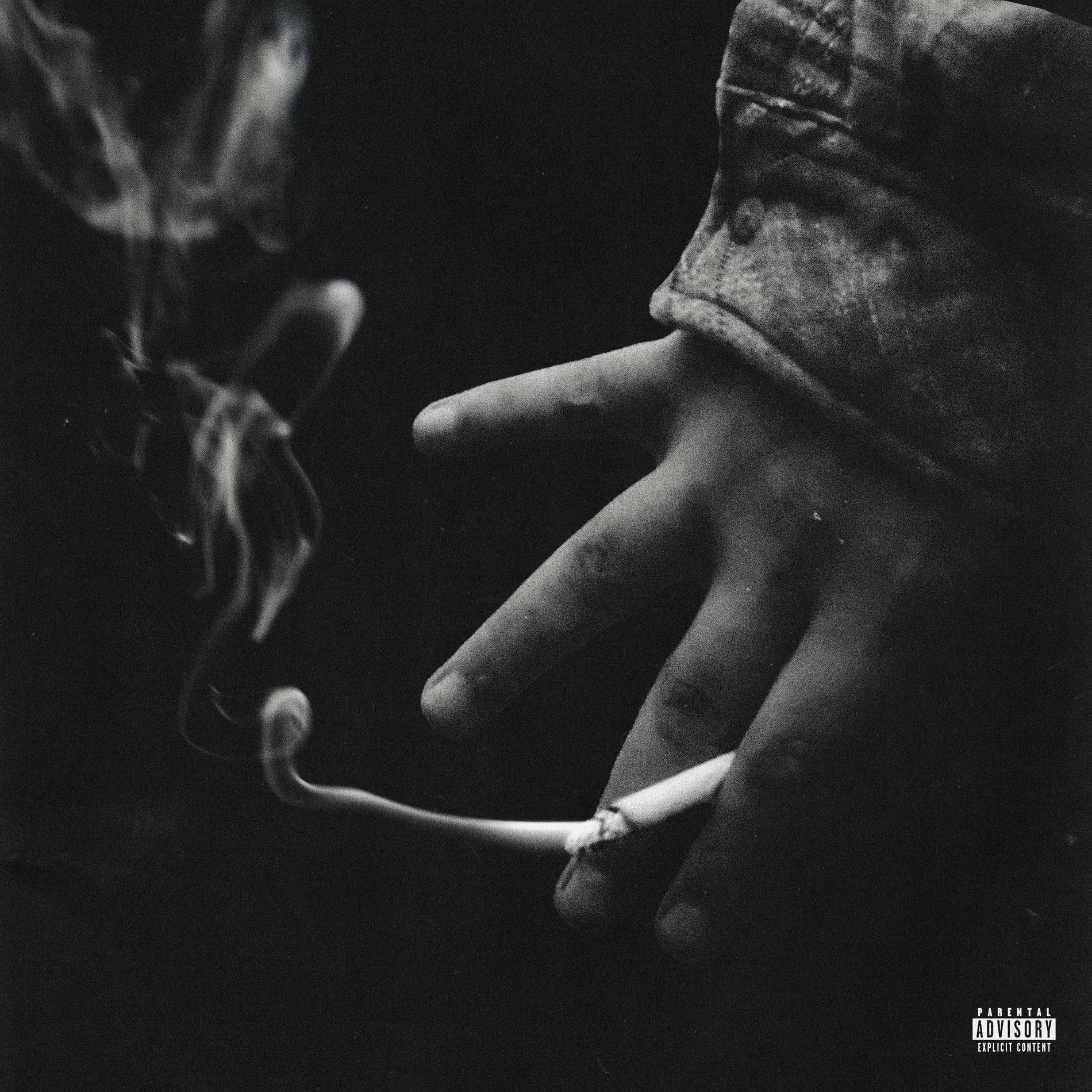 Album cover of Darmadağın