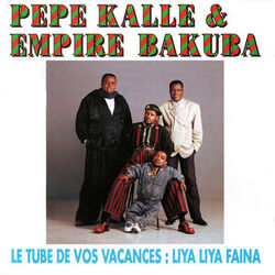 Cover of Liya liya faina