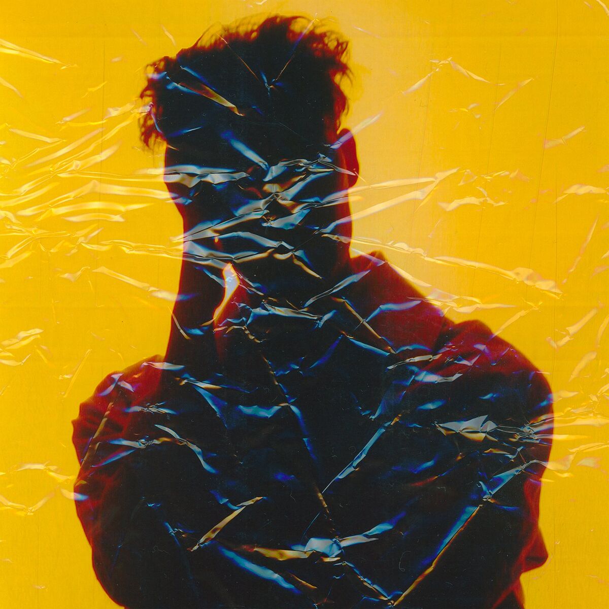 Album cover of SWANLUX