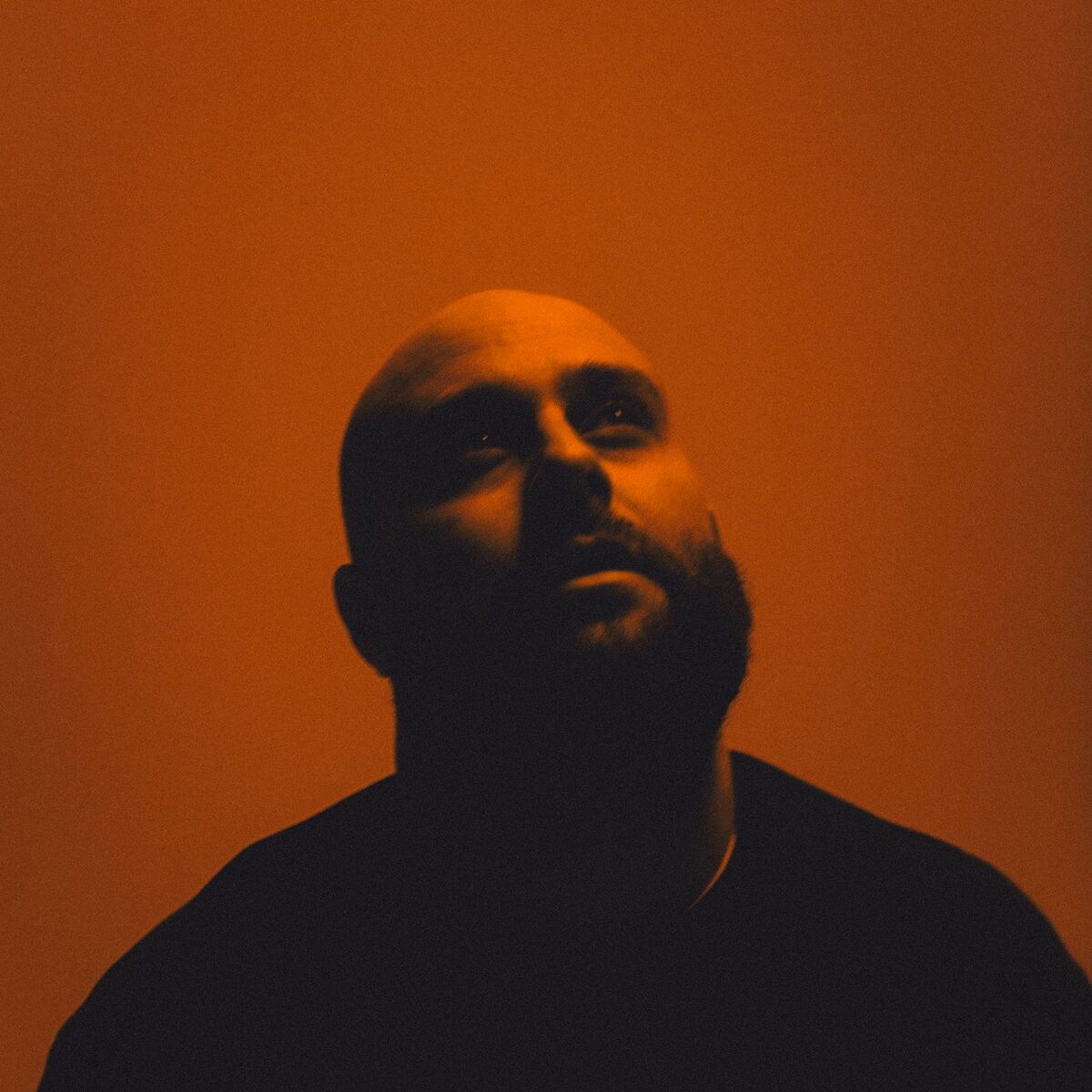 Album cover of you don't like me but i'm still here