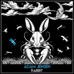 Cover of Rabbit