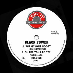 Cover of Shake Your Booty (Single)