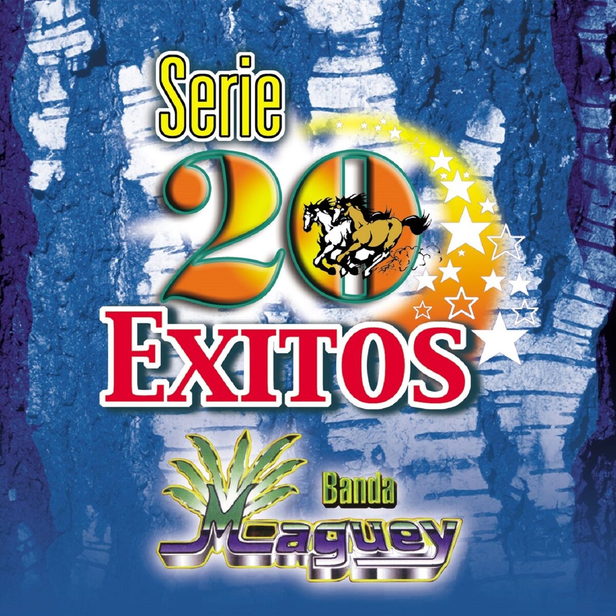 Album cover of A Ritmo De Chacuncha