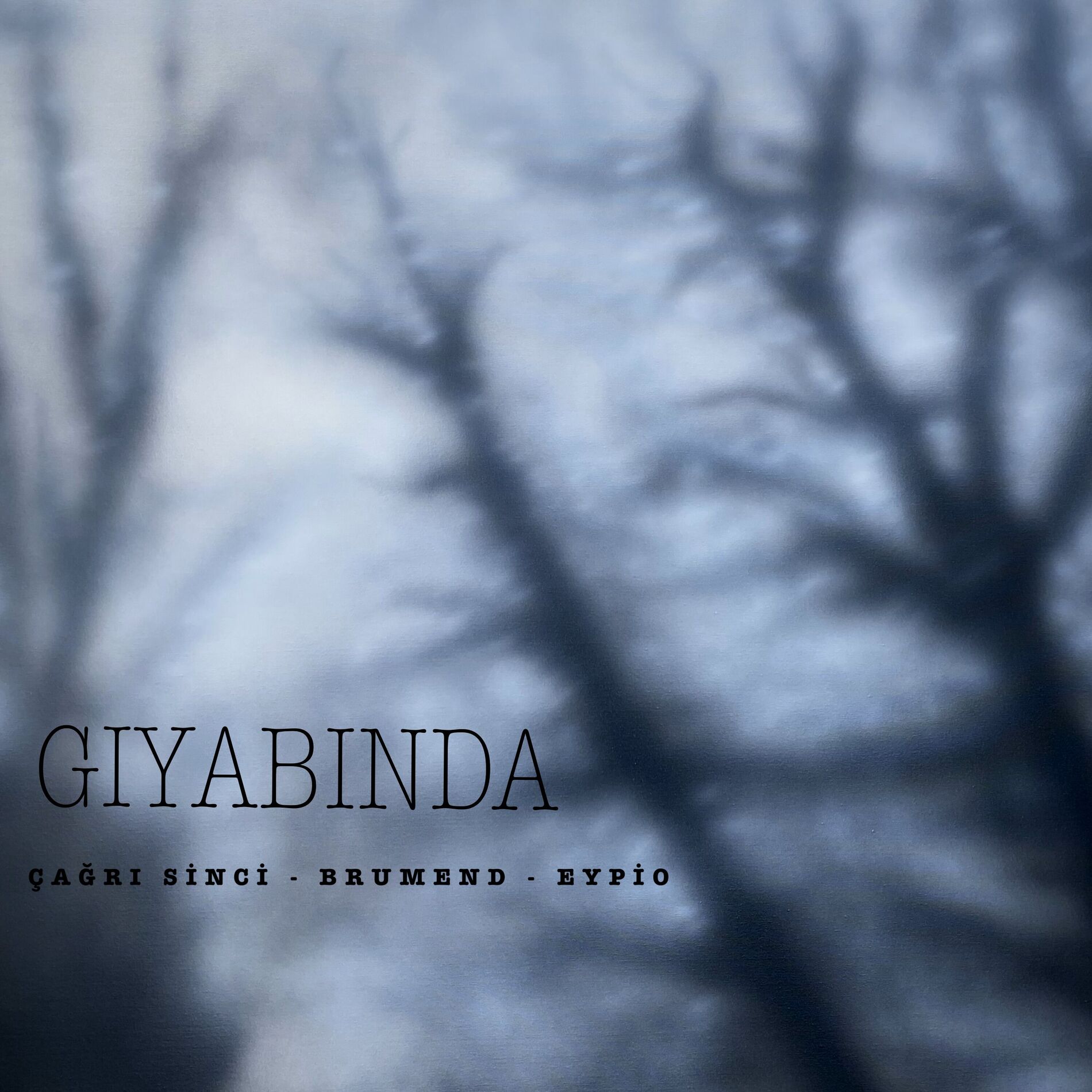 Album cover of Gıyabında