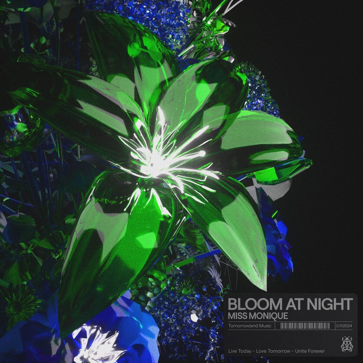 Album cover of Bloom At Night