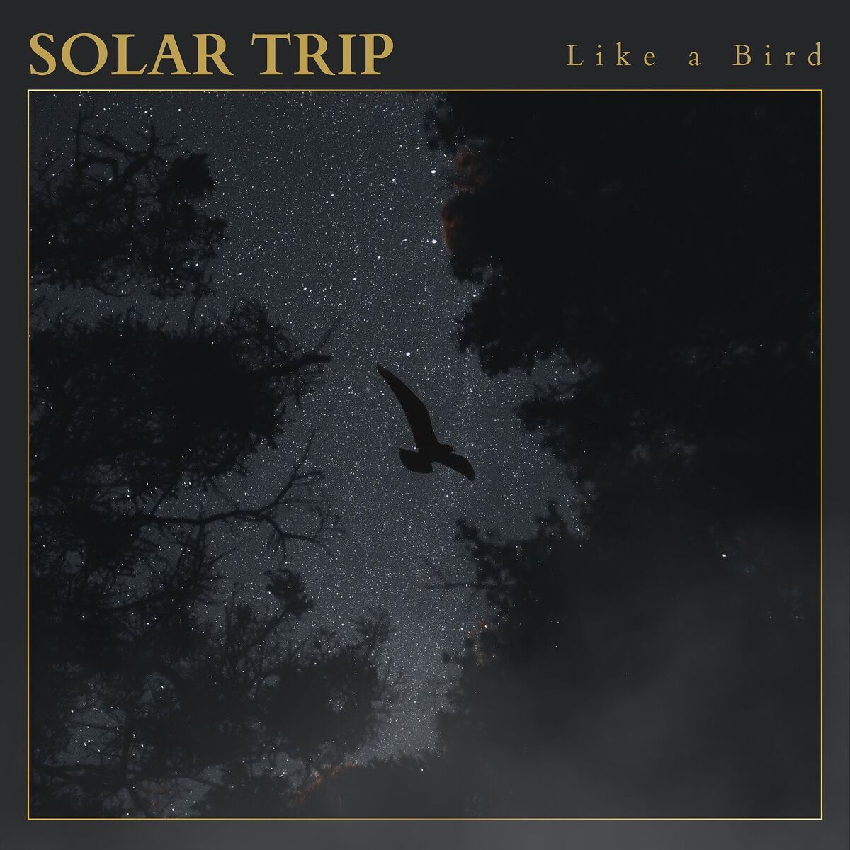 Album cover of Like a Bird