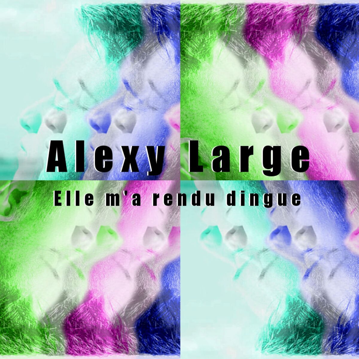 Album cover of Elle m'a rendu dingue