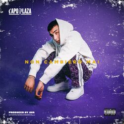 Cover of Non cambierò mai