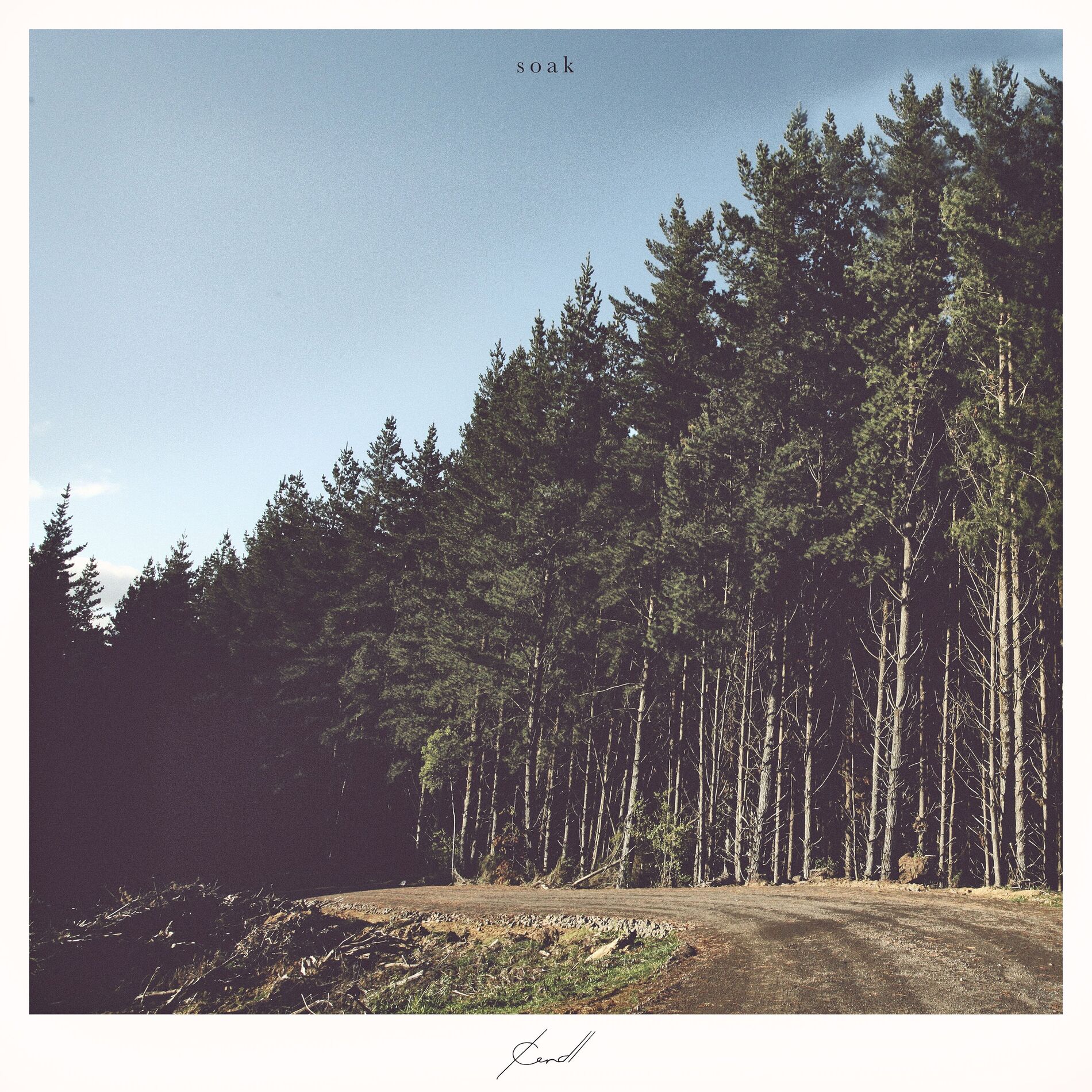 Album cover of Soak