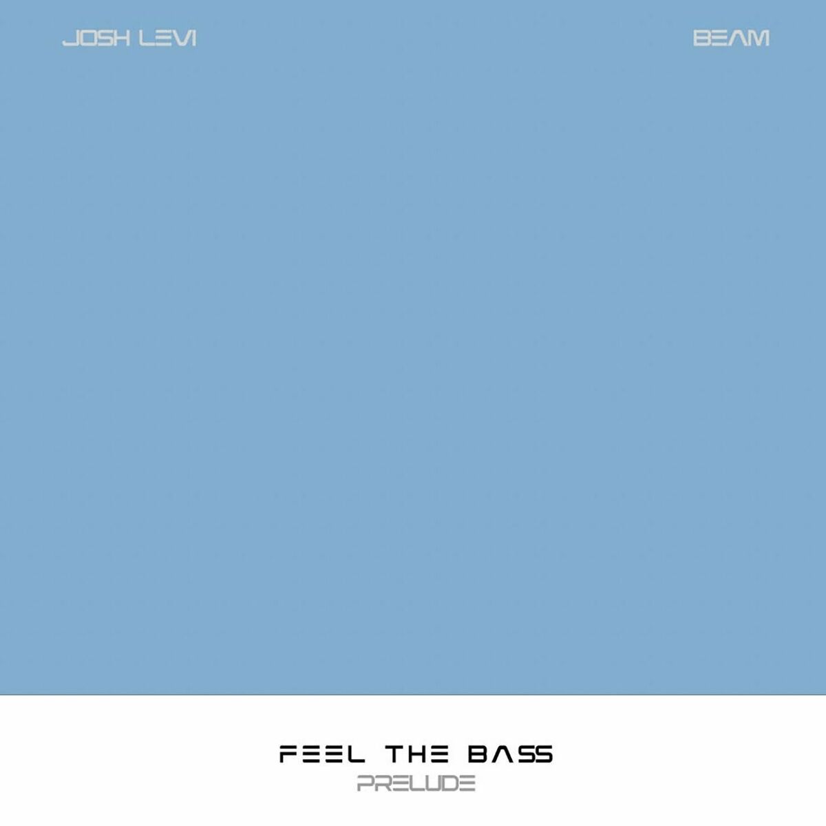Album cover of FEEL THE BA$S (Prelude) [feat. BEAM]