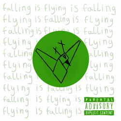 Cover of falling is flying