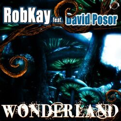 Cover of Wonderland (Electro Edition)