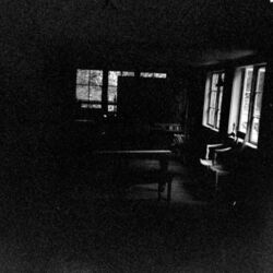Cover of Before We Begin