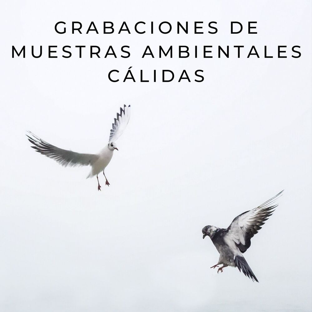 Picture of Grabaciones De Muestras Ambientales Cálidas