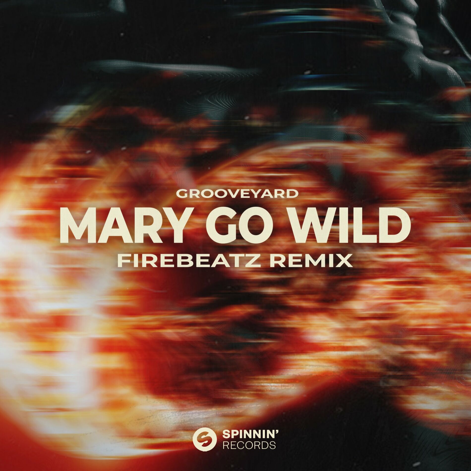 Album cover of Mary Go Wild (Firebeatz Remix)