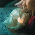 Lullaby