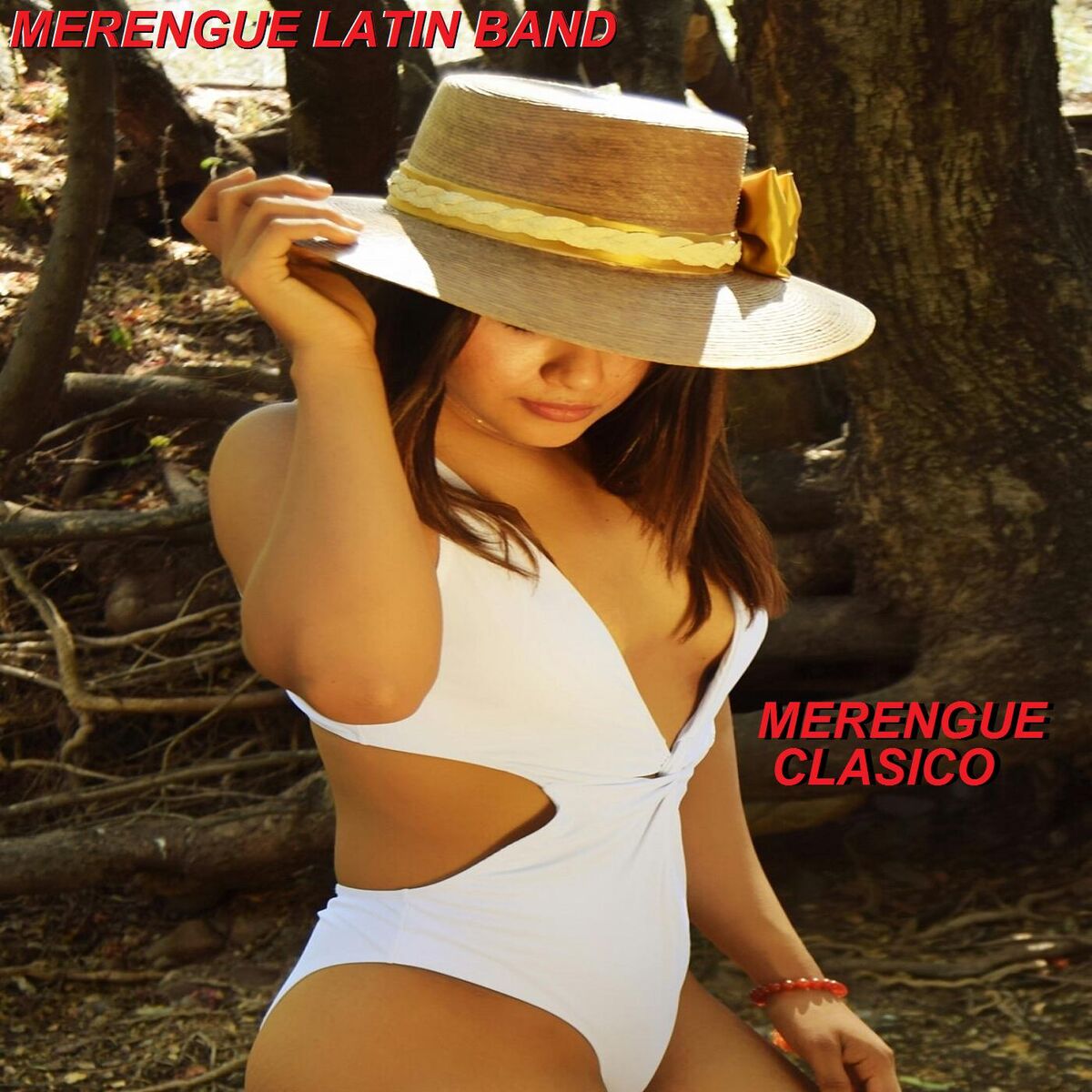 Album cover of Merengue Clasico
