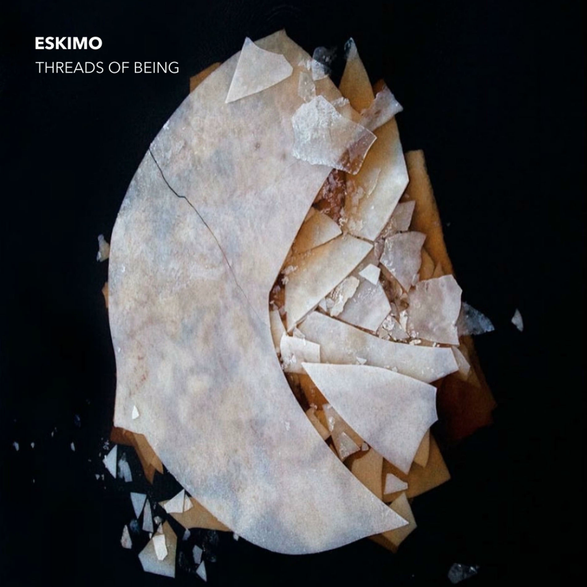 Album cover of Threads of Being