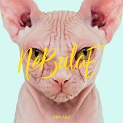 Cover of Dryland