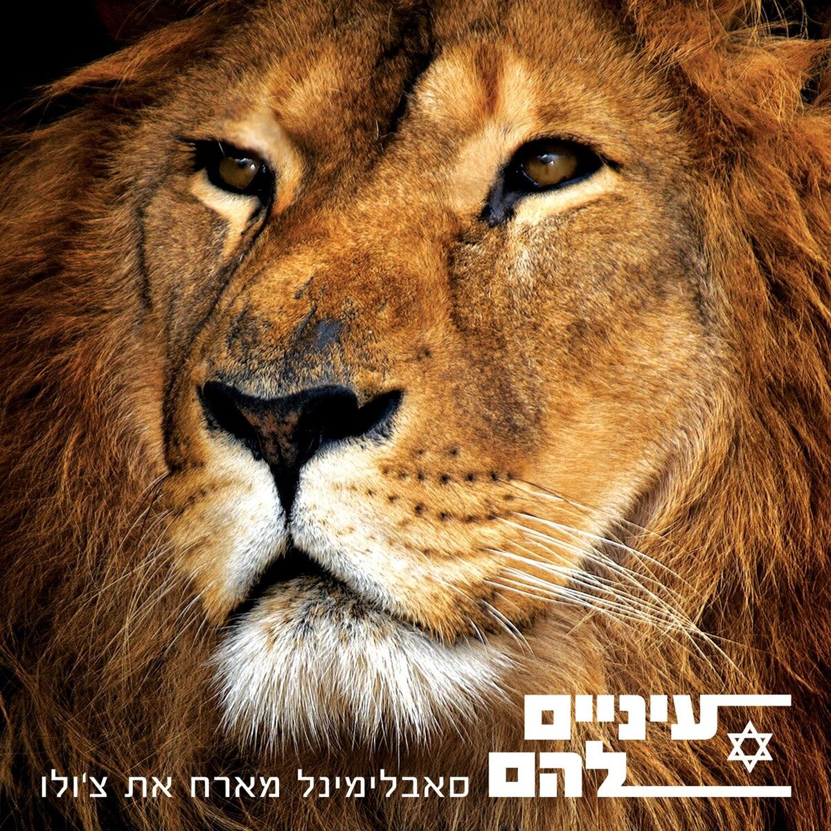 Album cover of עיניים להם