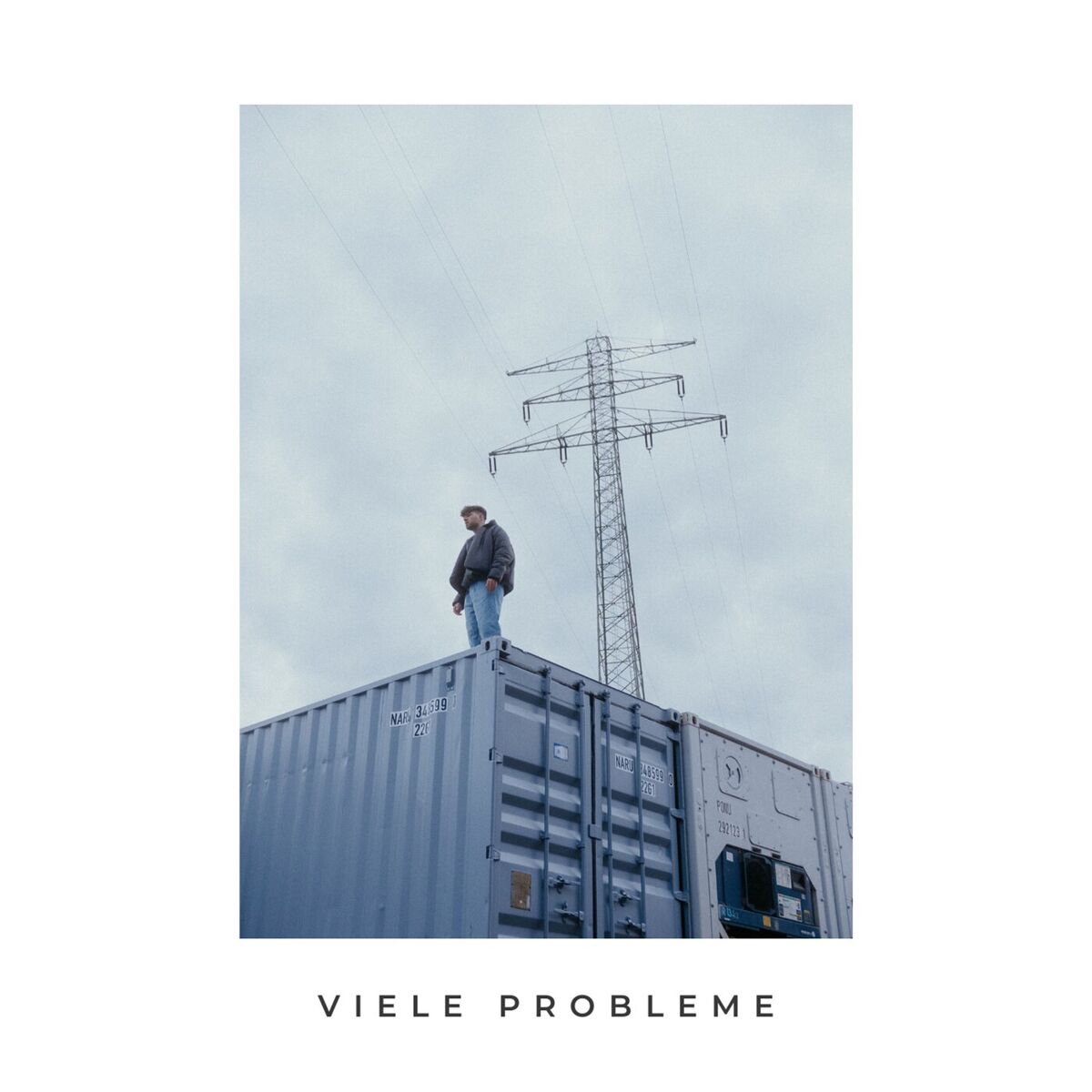 Album cover of viele probleme