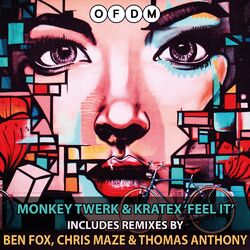 Cover of Feel It