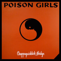 Cover of Chappaquiddick Bridge