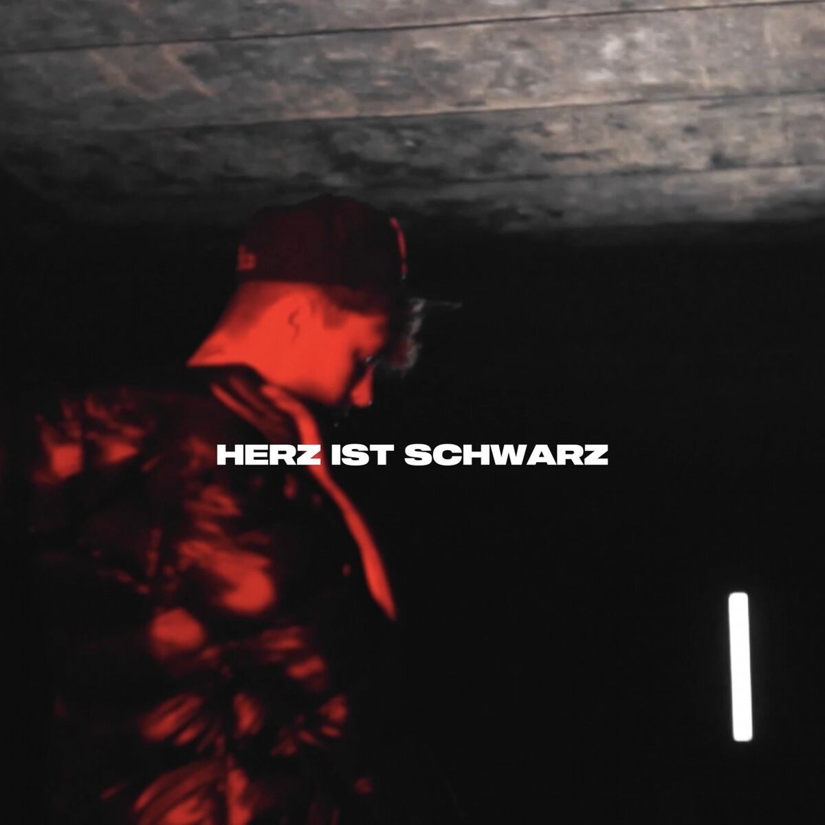 Album cover of Herz ist Schwarz