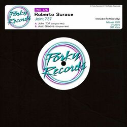 Cover of Joint 737