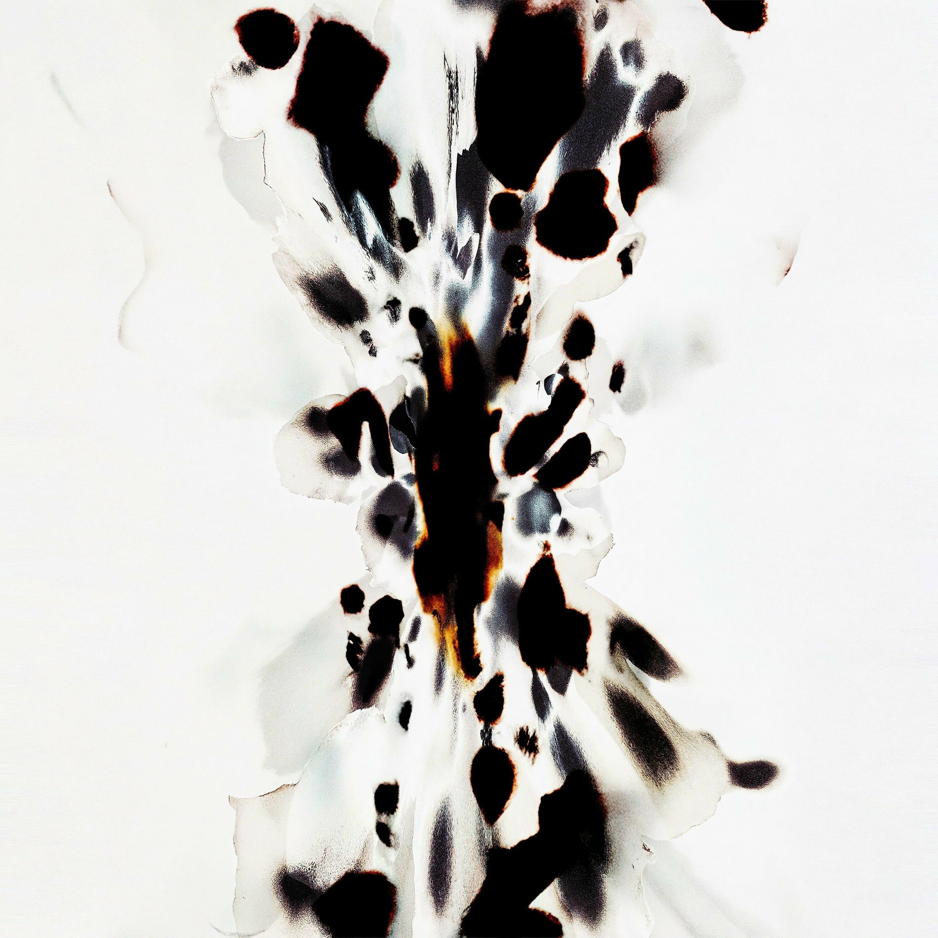 Album cover of Catharsis