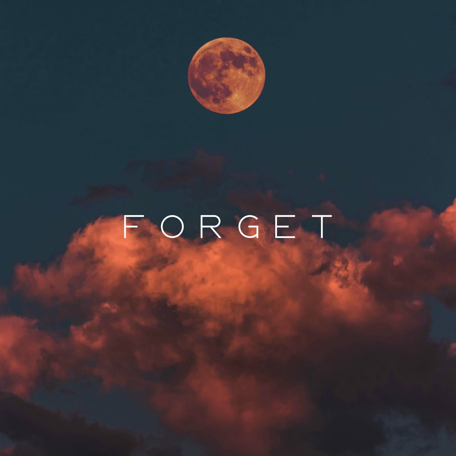 Album cover of Forget