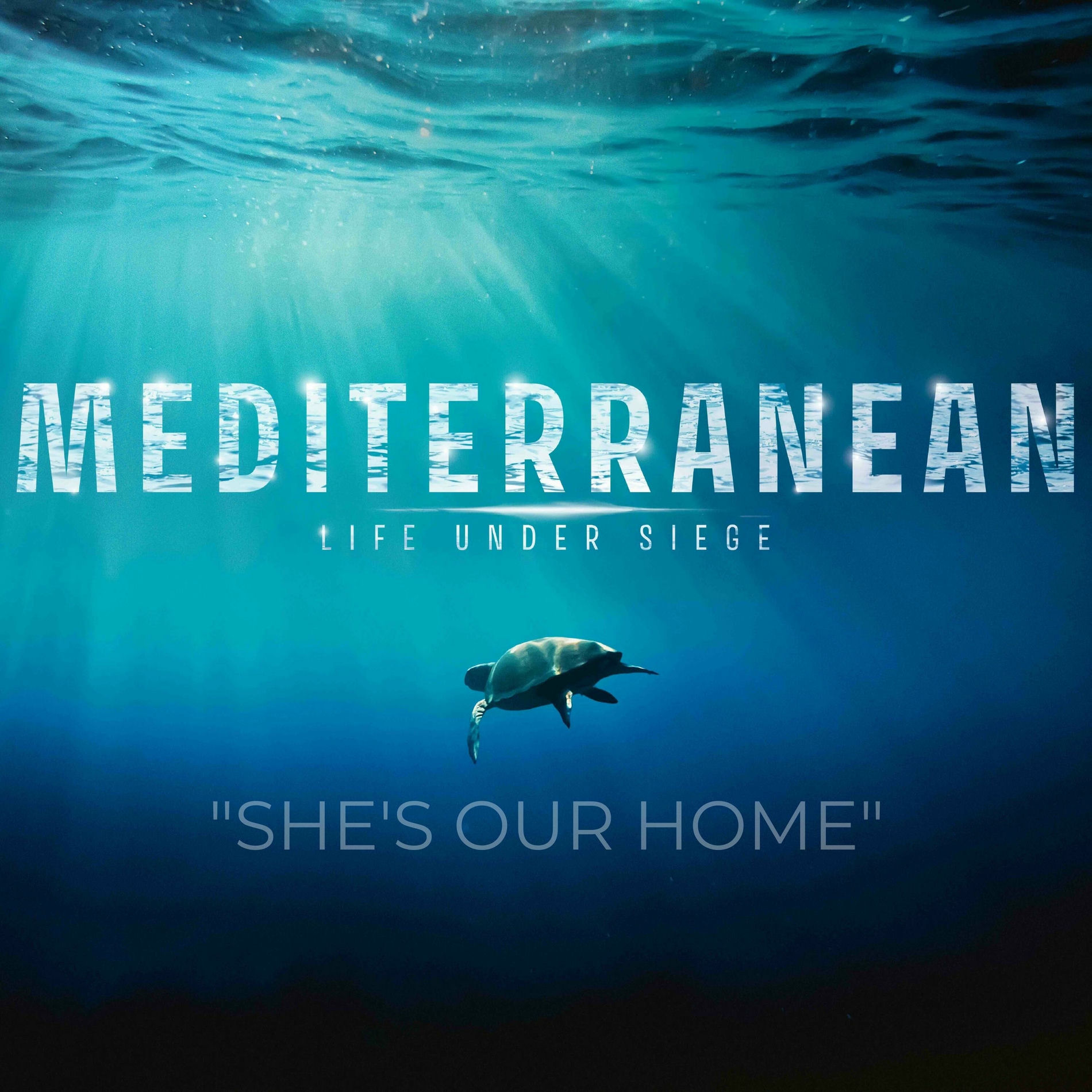 Album cover of She's Our Home