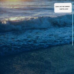 Cover of Gone Like The Summer