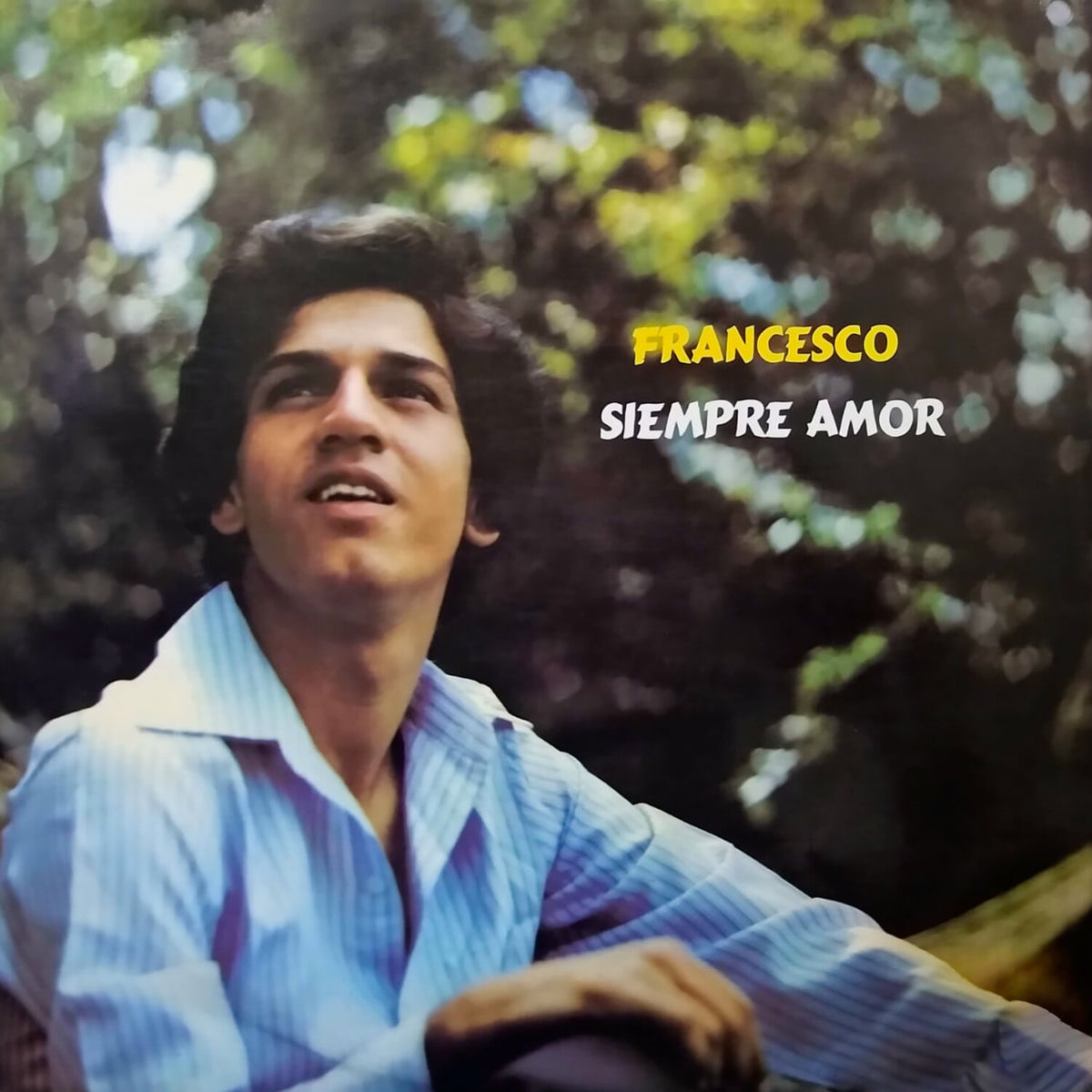 Album cover of Siempre Amor