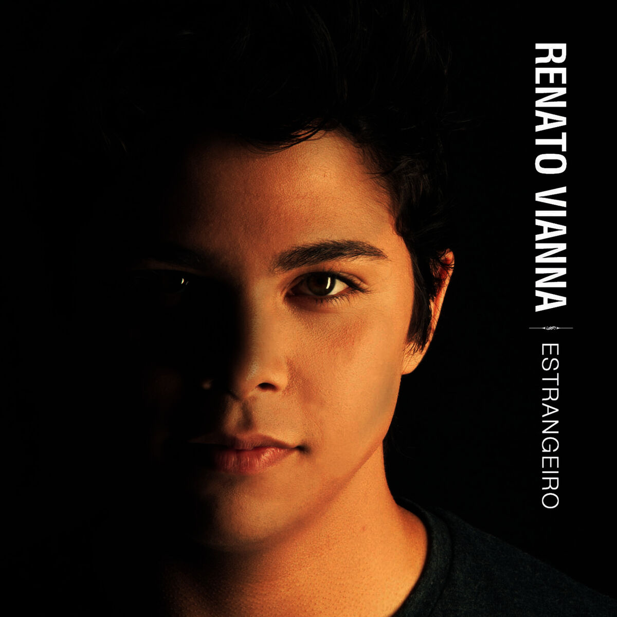 Album cover of Estrangeiro