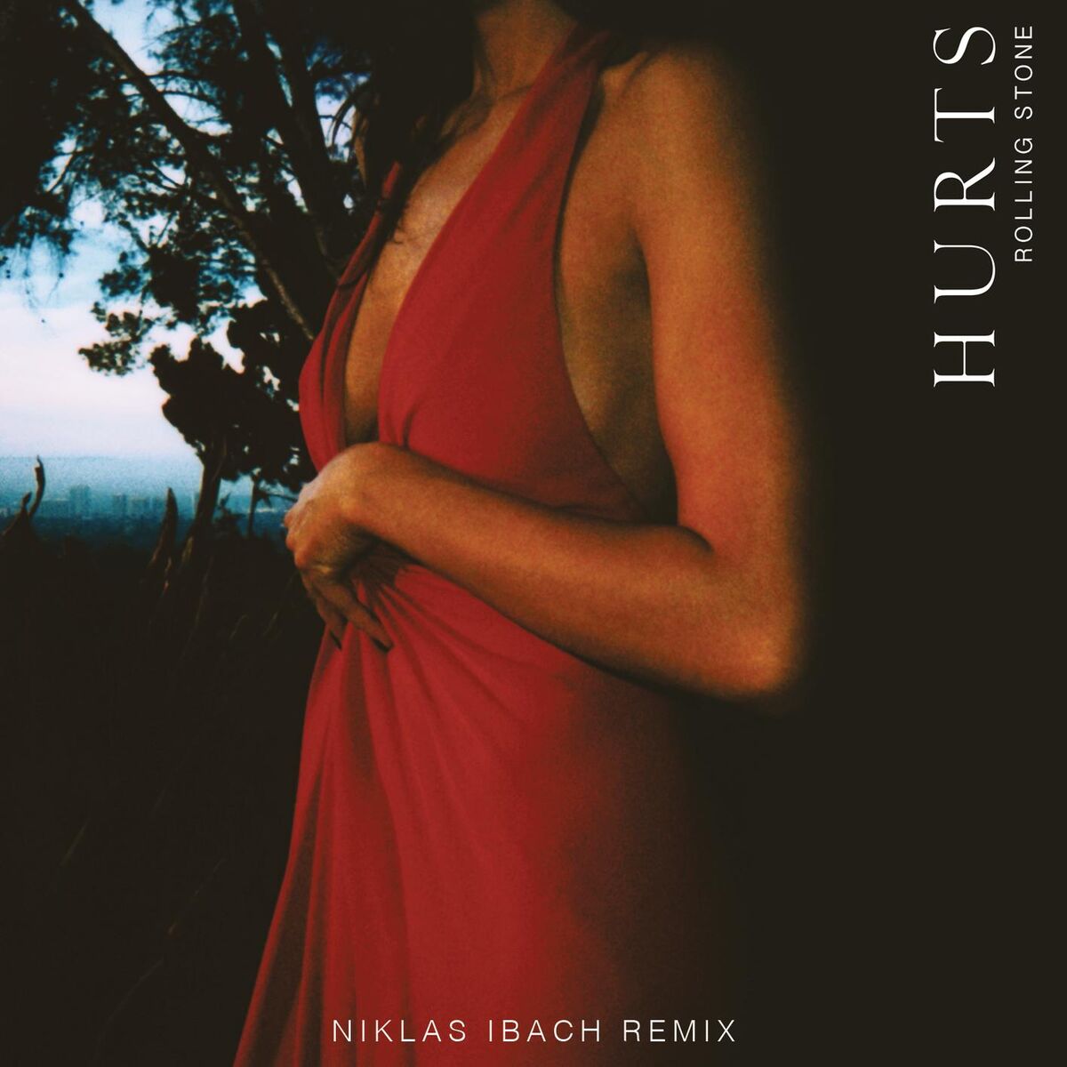 Album cover of Rolling Stone (Niklas Ibach Remix)