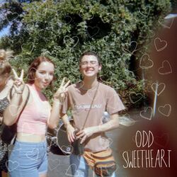 Cover of Odd Sweetheart