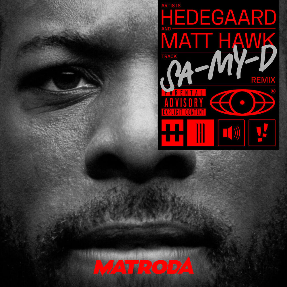 Picture of SA-MY-D (Matroda Remix)