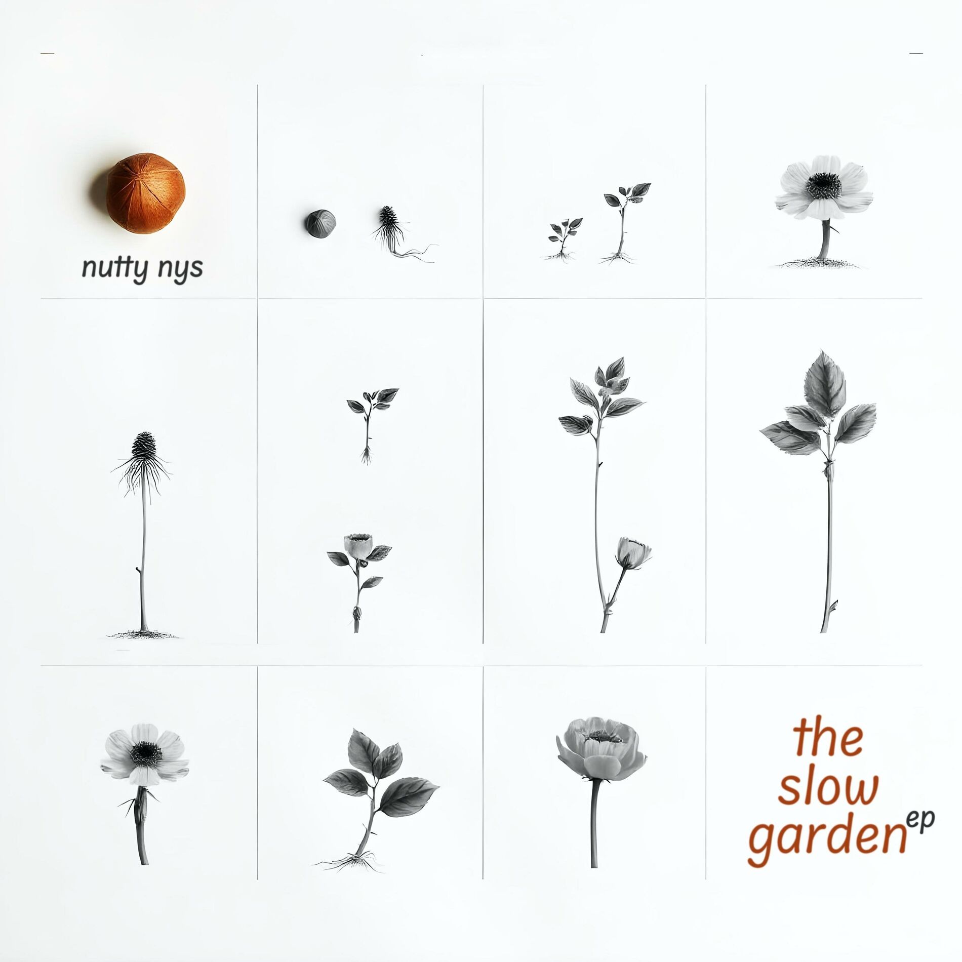 Album cover of The Slow Garden EP