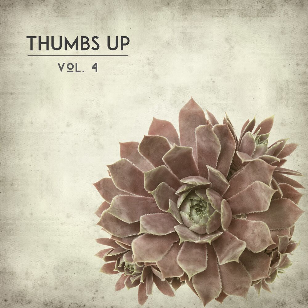 Picture of Tumbs Up, Vol. 4