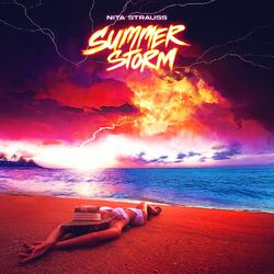 Cover of Summer Storm