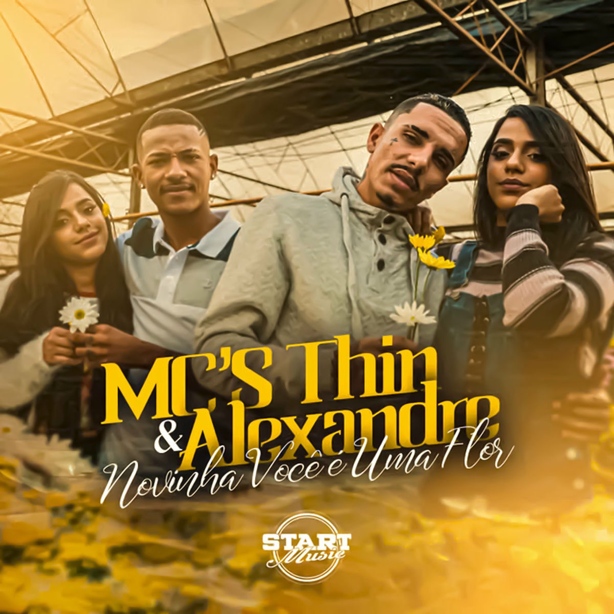 Album cover of Novinha Você É uma Flor