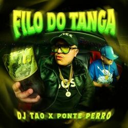 Cover of Filo Do Tanga